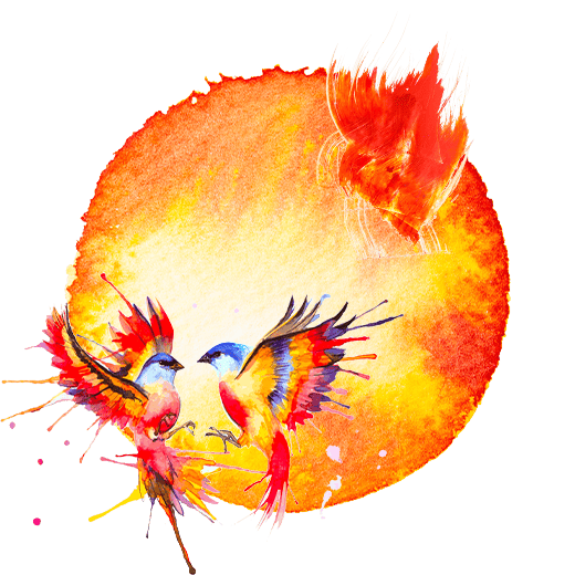 2025 FORTUNE 青木良文さん監修 エレメント占い: ｜THE BODY SHOP (ザ